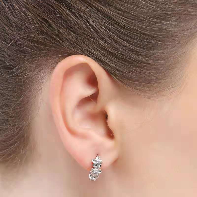 Cross-Border Hot Camellia Earrings Elegant Diamond Flower Earrings Simple Fashion Ol Korean Style Earrings Wholesale
