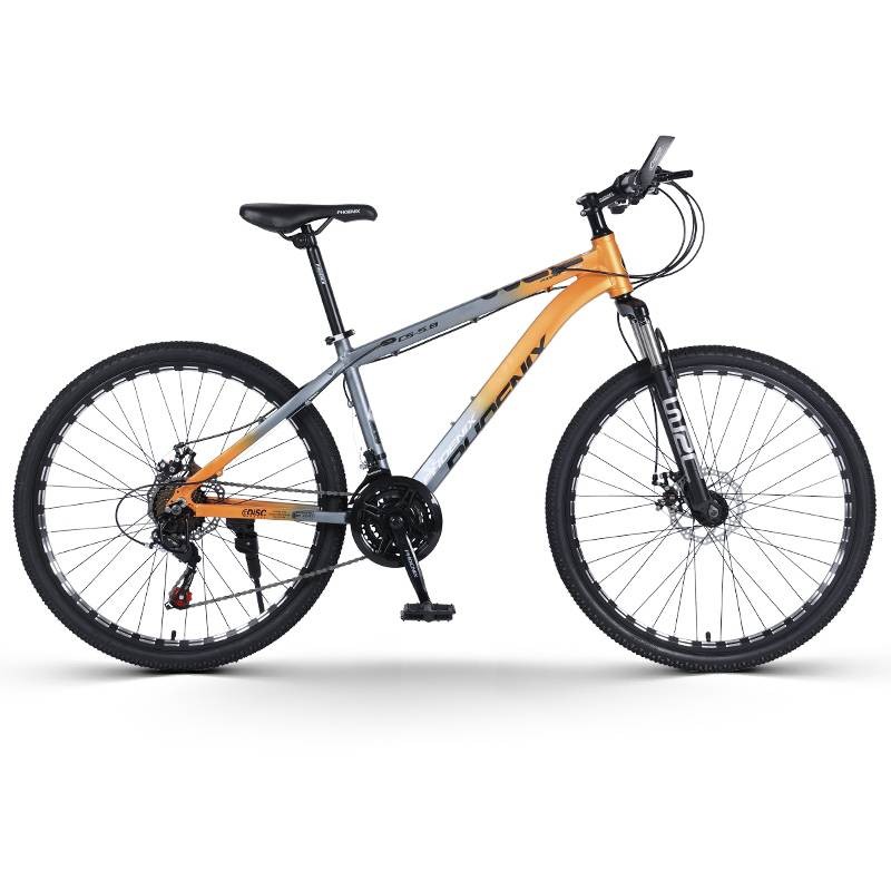 Mountain Bike 24 Speed off Road Double Shock Aluminum Alloy Variable Speed Car Youth Racing