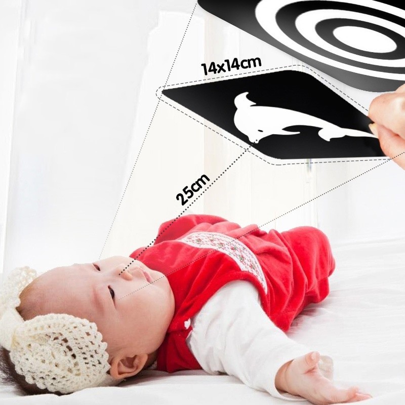 Black White Color Cards Early Educational Baby Visual Training Card Animal Cards Baby Infant Gift For Children Cognition
