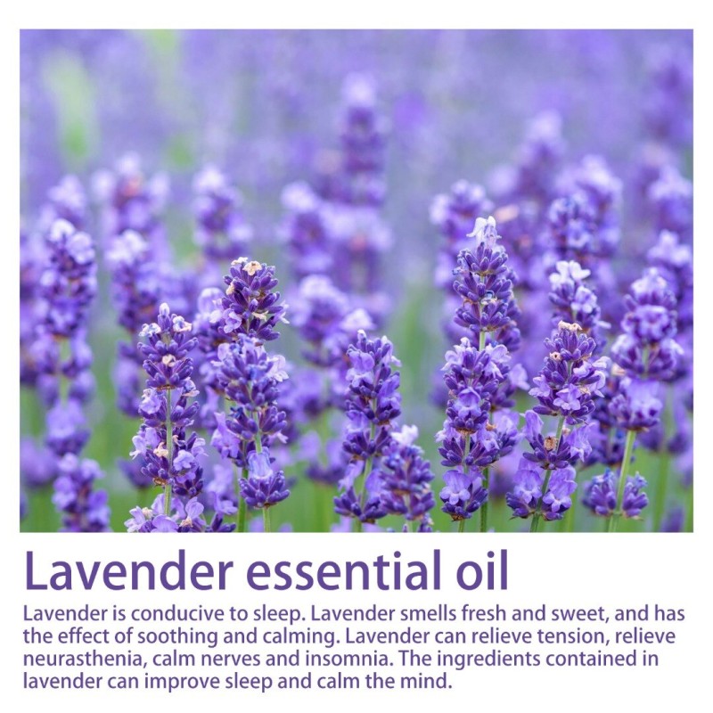 Lavender Essential Oil Pillow Sleep Spray Mist Fragrance Aromatherapy Relax Best Aromatherapy Therapy Insomnia Oils Fast Sleep
