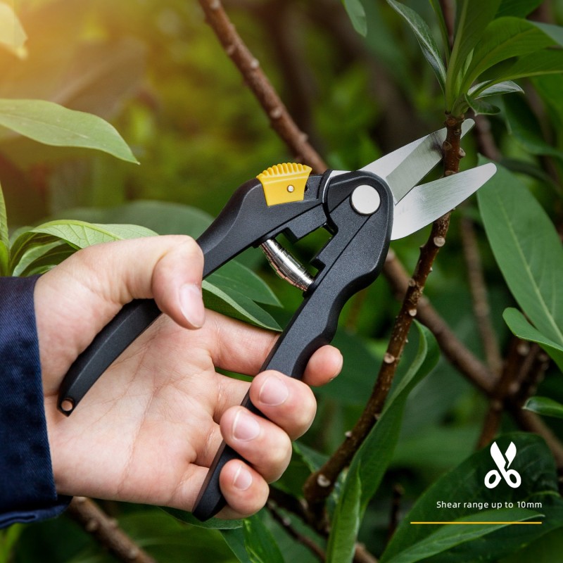 Deli 8 Inch Garden Pruner Shears Blade Pruning Scissors for Bonsai Fruit Trees Flowers Branches Garden Pruners