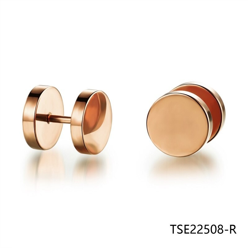 Design earrings studs elegant fashion women jewelry girl gifts nice TSE22508