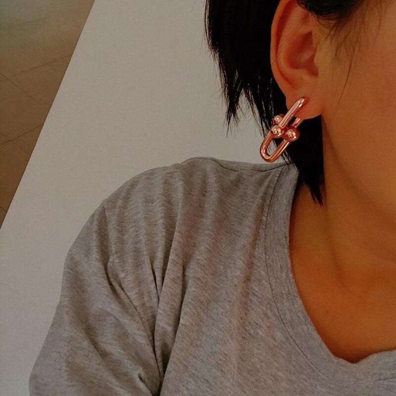 TIFINE1: 1 925 Sterling Silver Necklace for Women, Hip Hop Punk U-shaped Stud Earrings, Luxury Jewelry Gifts for Women with LOGO