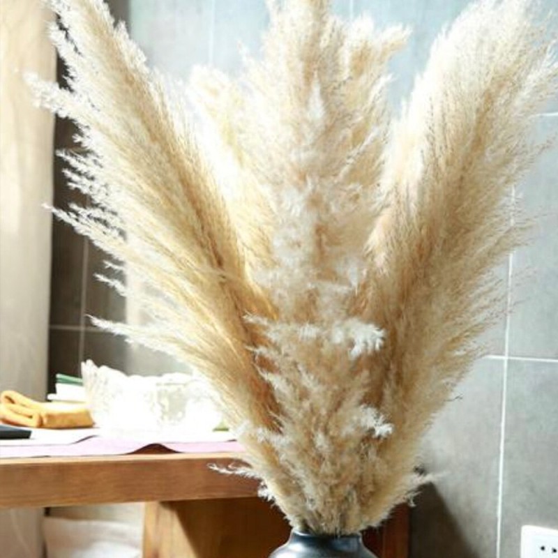 80cm Living Room Large Pampas Decor Natural Dried Pampas Grass Fluffy Pampas Bouquet Boho Long Dried Flowers Wedding Arch Decor