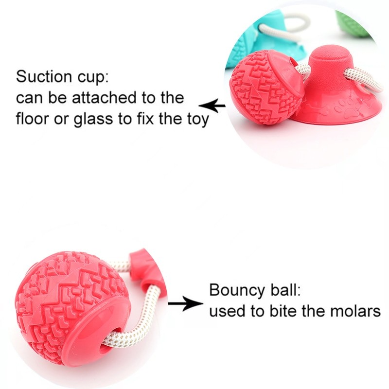 Dog Toys TPR Ball Teeth Grinding Cleaning Teeth Dog Chewing Play Pet Suction Cup Elastic Pull Rope Toy Pet Supplies