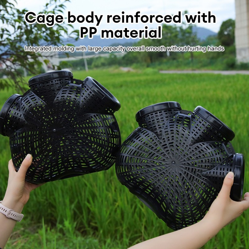 Outdoor Fishing Cage Basket Plastic Tackle Cage Crab Crayfish Shrimp Smelt Eels Traps Mesh Crayfish Catcher Casting Fishing Net| |   - AliExpress
