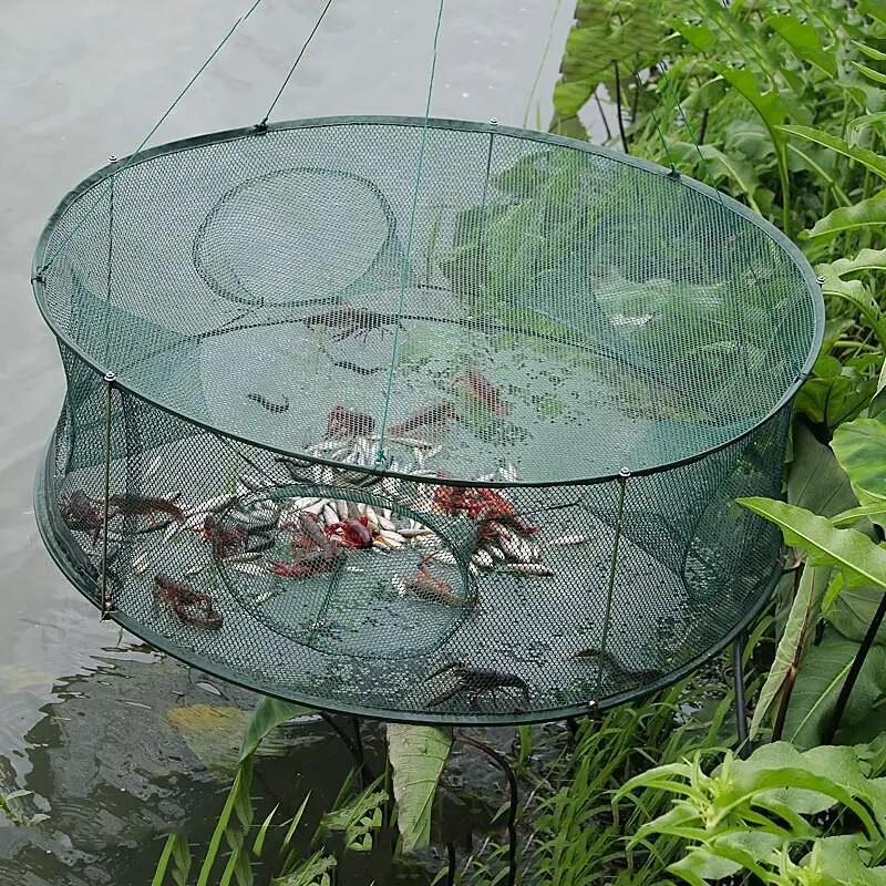 Folding Portable Hexagonal Net Fishing Net Casting Crayfish Catcher Fish Trap Shrimp Catcher Tank Cage Net| |   - AliExpress