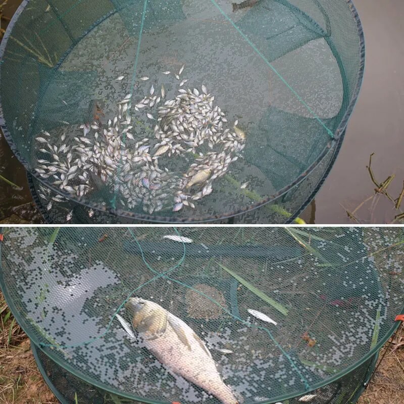 Folding Portable Hexagonal Net Fishing Net Casting Crayfish Catcher Fish Trap Shrimp Catcher Tank Cage Net| |   - AliExpress