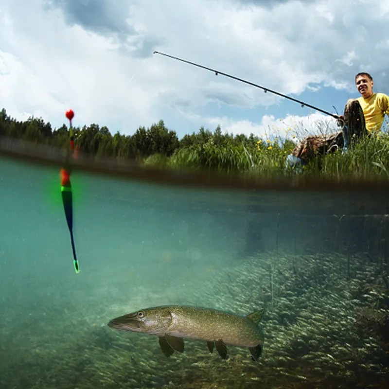 EVA Luminous Fishing Night Float Light Stick Foam Plastic Bobber Sea Rock Fishing Striking Floats Fishing Accessories 10/15/20g| |   - AliExpress