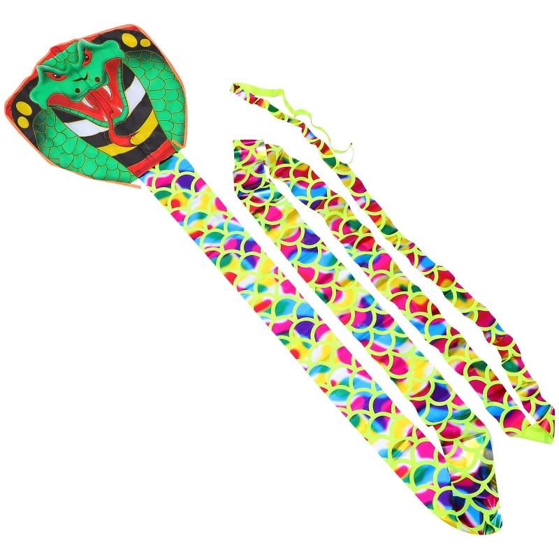 Snake Kite Kite Easy to Fly Kite Large Kite with Long Tails Outdoor Fun Sports for Kids Adults Outdoor Games Activities Beach| |   - AliExpress
