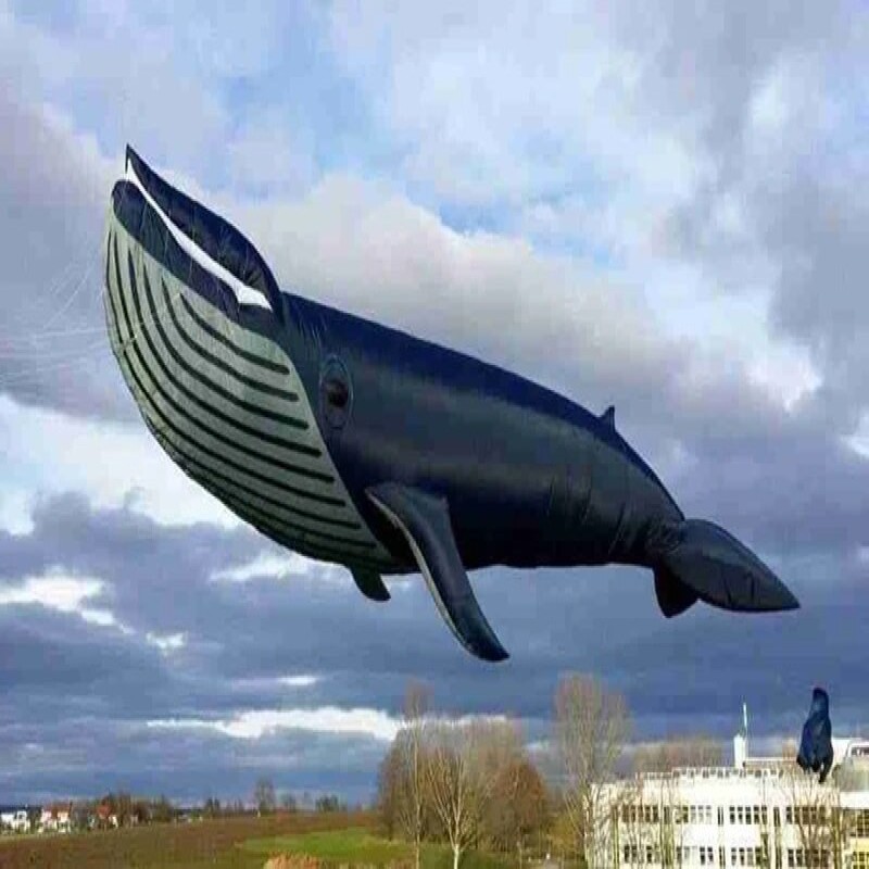 Free Shipping 17m Shark Kite Flying Whale Kite Pendant Outdoor Fun Sports Parachute Kites For Adults Kite Wheel Folding Kite - Kites & Accessories - AliExpress