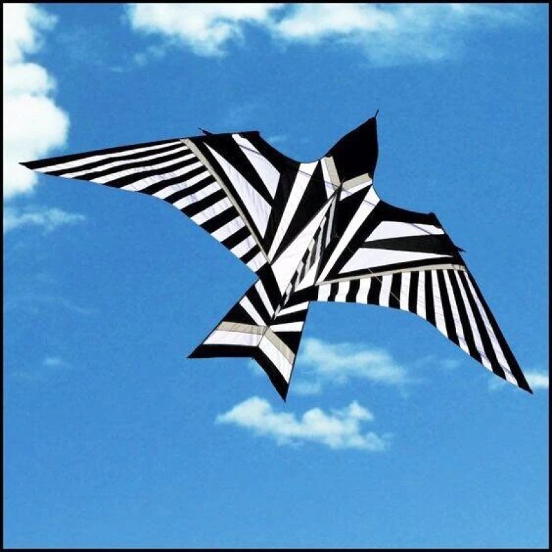 NEW Outdoor Fun Sports 5m Power Animal Kites/ Black White Bird Kite With  Handle and Line Good Flying For Kite Festival| |   - AliExpress